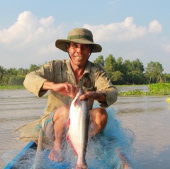 Săn cá vồ đém